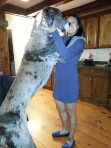 13. gigantische honden
