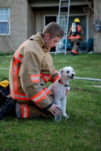 Dankbare smile: Puppy glimlacht wanneer hij uit brand wordt gered