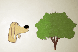 Hoe honden de wereld “zien” met hun neus