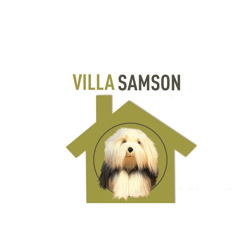 Ziekenhuispatiënten met huisdieren welkom in Villa Samson