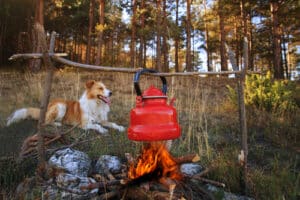 vakantie kamperen met hond