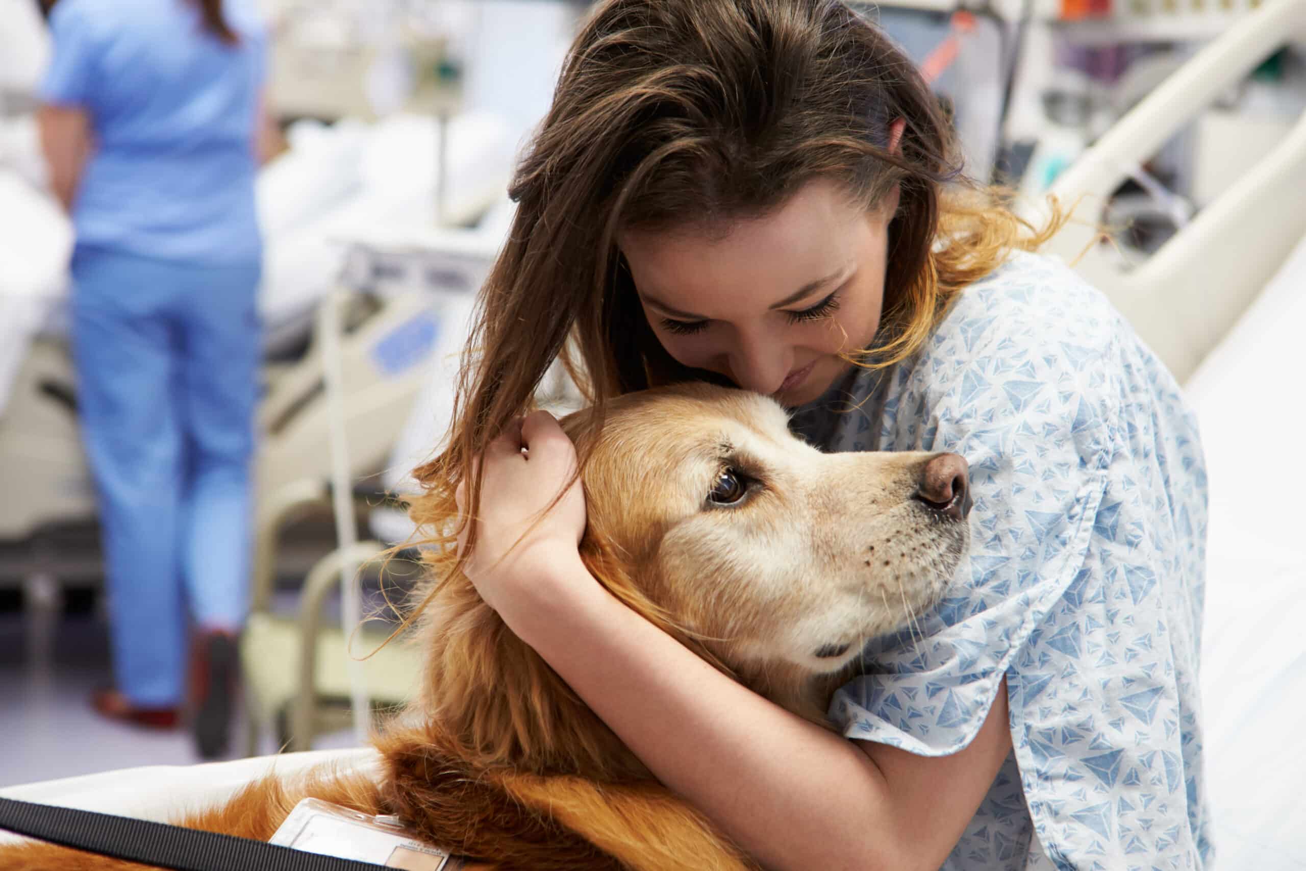 Therapiehonden verminderen pijngevoelens bij patiënten op spoed