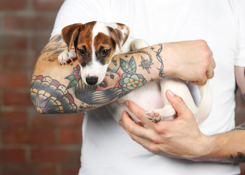 tattoo hond