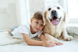 Kind op komst: een grote verandering voor je hond