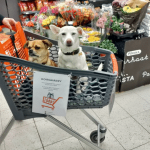 In deze Finse supermarkt hebben ze speciale winkelkarretjes voor honden