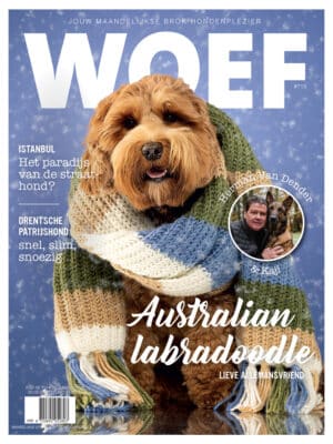 Cover Australian Labradoodle