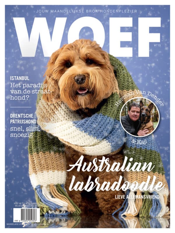 Cover Australian Labradoodle