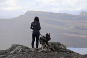 Schotland: hondvriendelijke reisbestemming