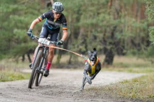 Dirk Beullens is de nieuwe wereldkampioen bikejöring: ‘Onze honden leven als topsporters’