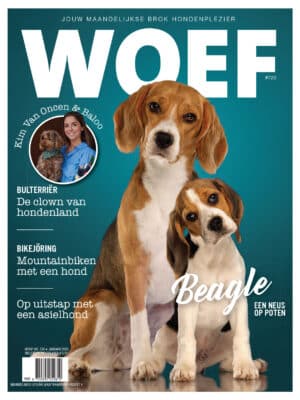 woef beagle 2024