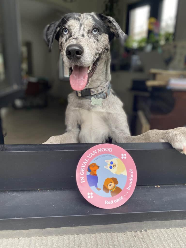 Sticker  kan  je hond redden