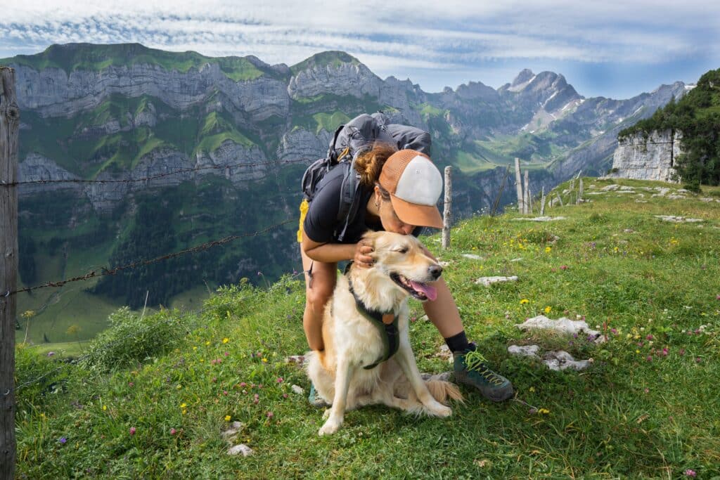 WOEF EN WEG: Op reis met je hond