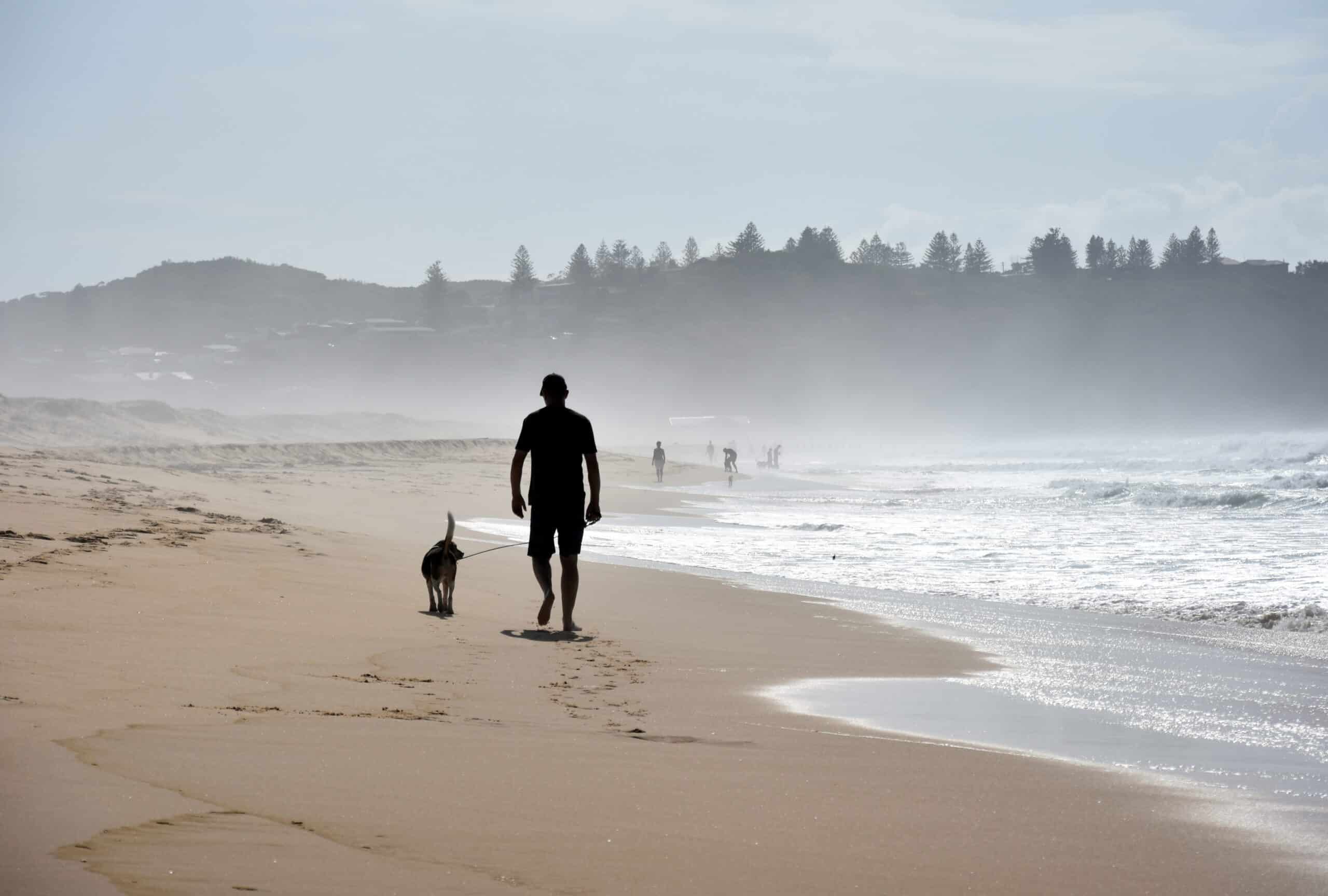 hond strand