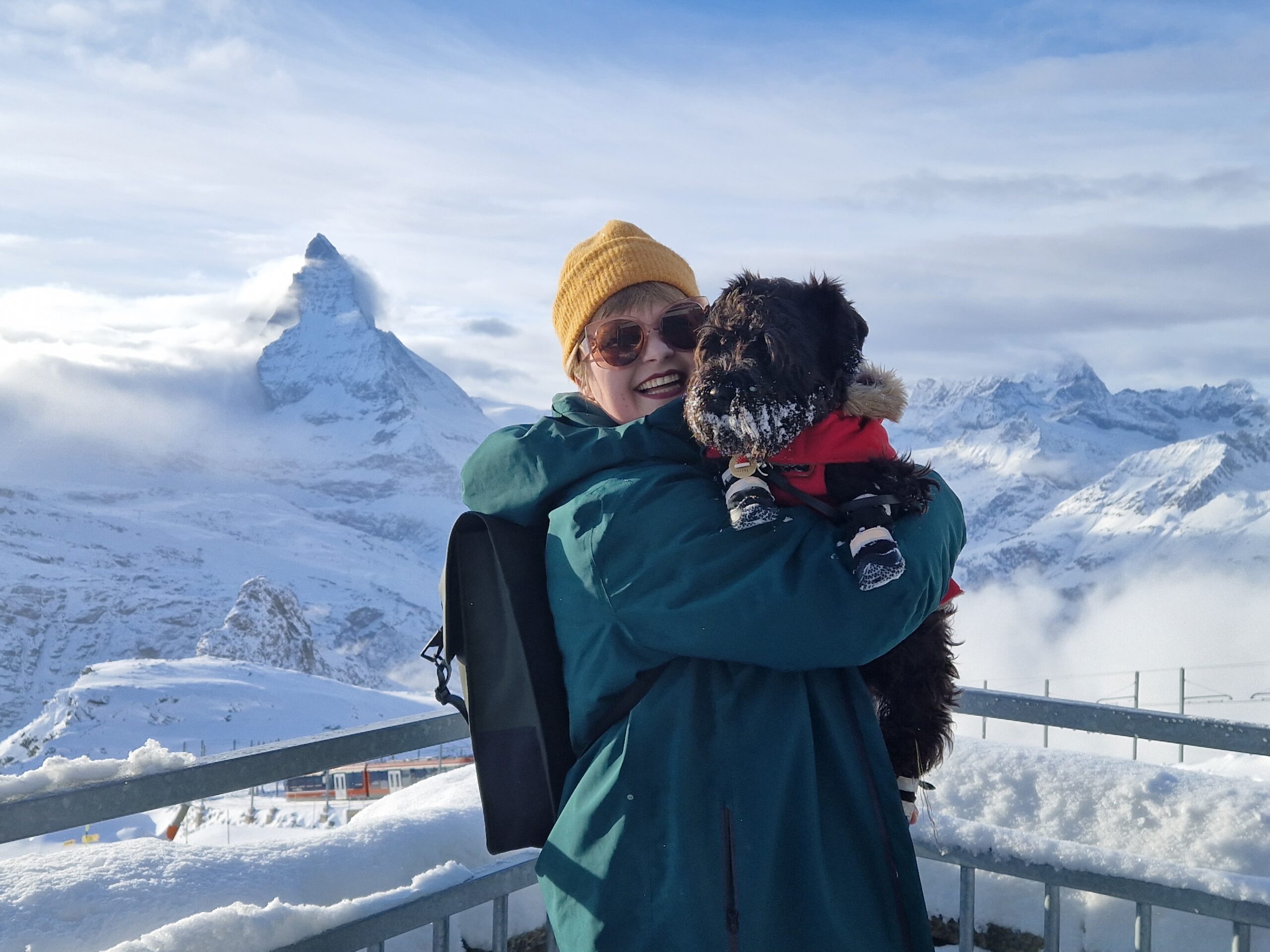 reizen met honden