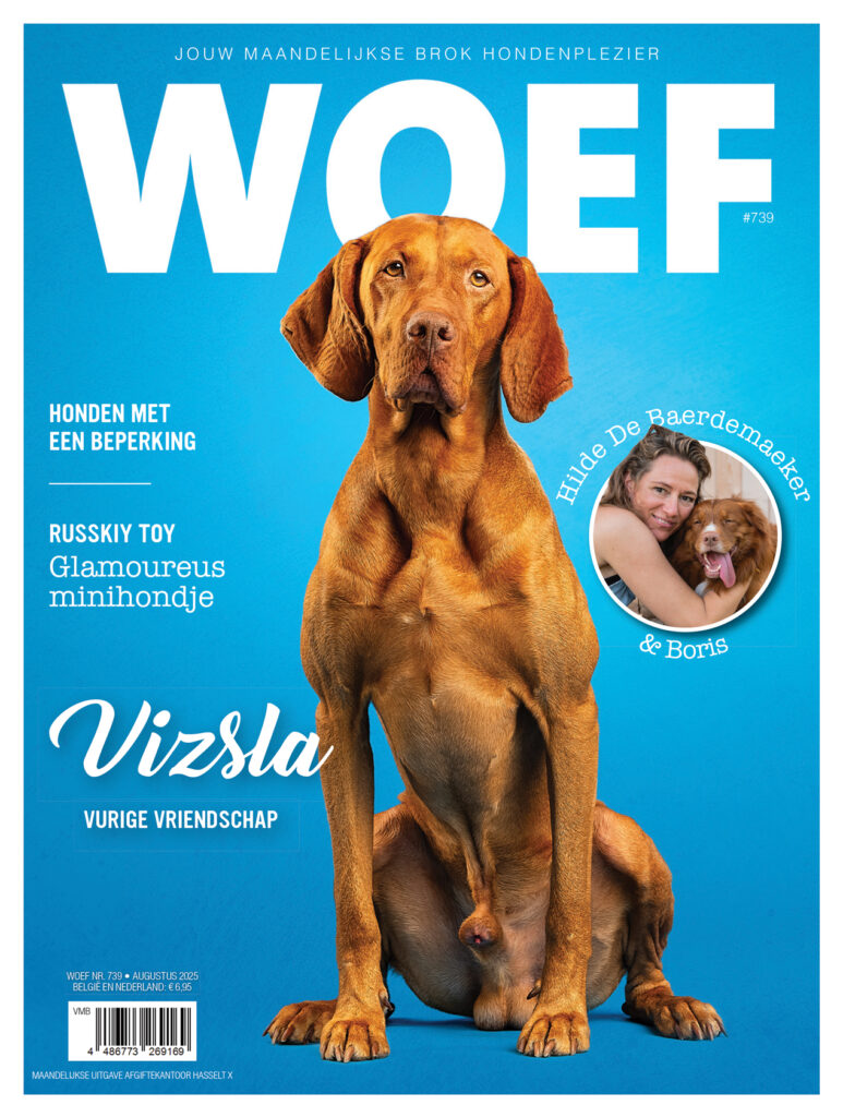 Cover Woef vizsla