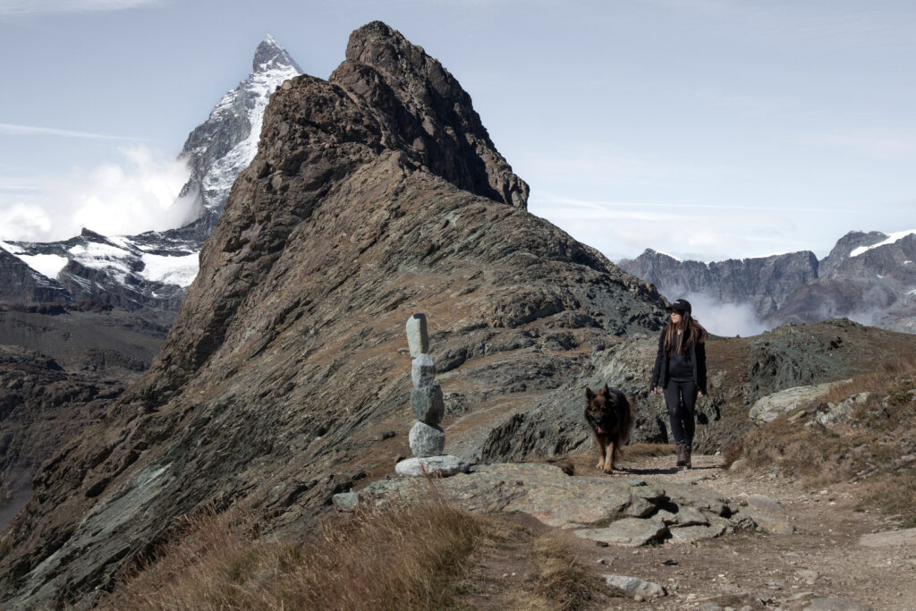 Op reis met je hond: Zwitserland