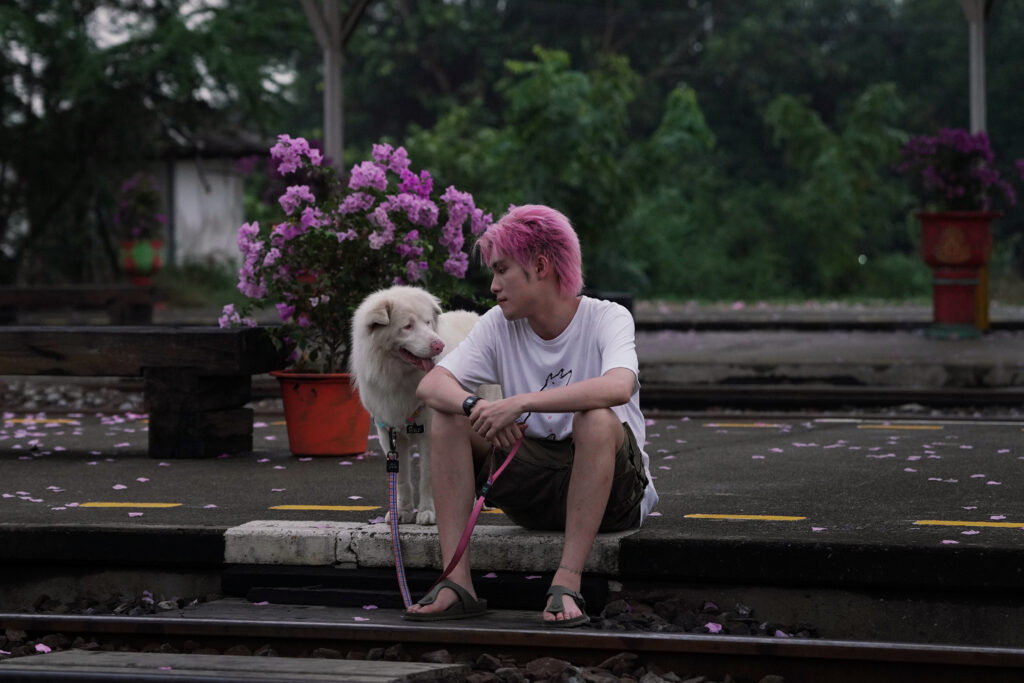 Filmreview ‘Gohan’ (2026): Eén hond, drie levens, drie keer naar je zakdoek grijpen