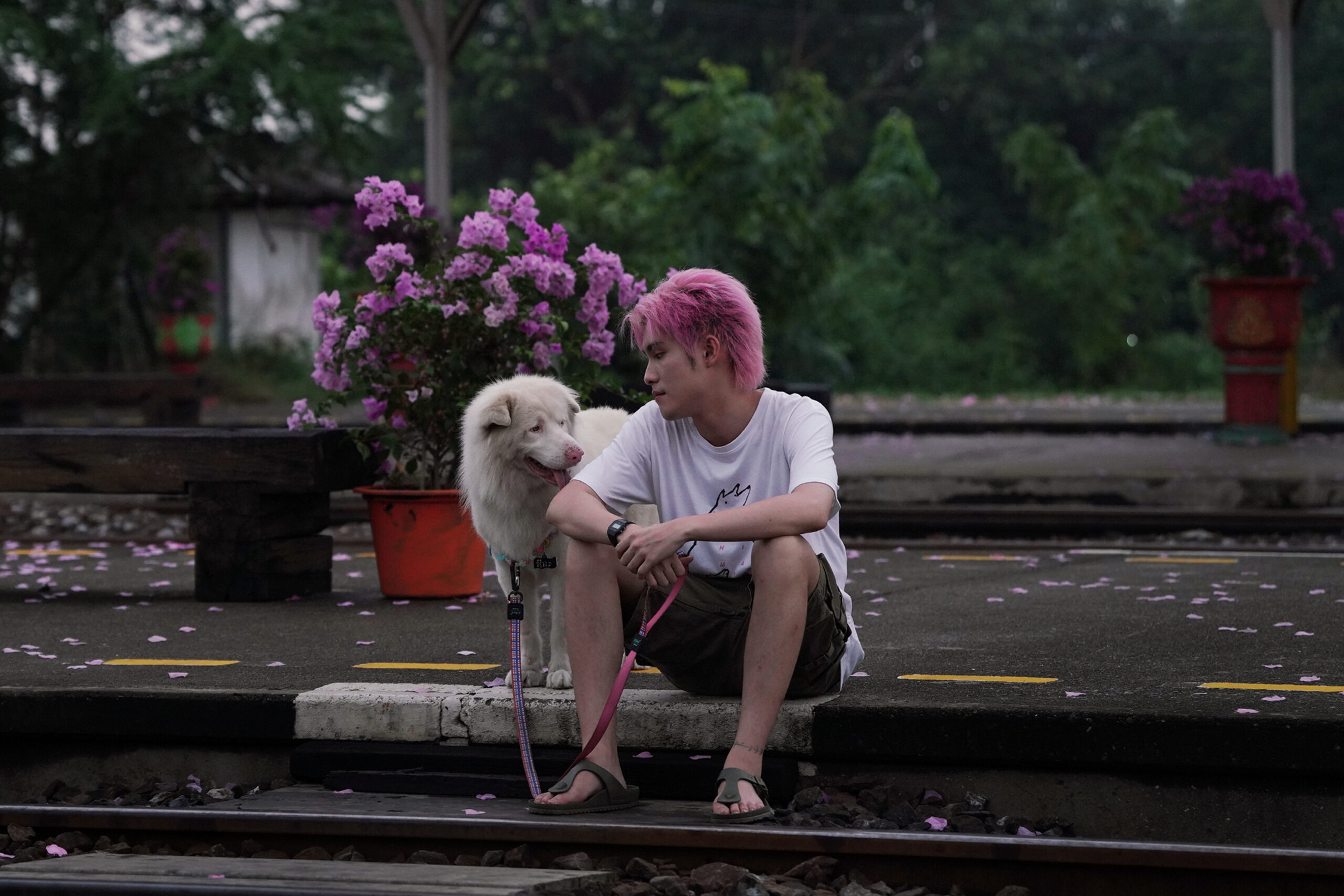 Filmreview ‘Gohan’ (2026): Eén hond, drie levens, drie keer naar je zakdoek grijpen
