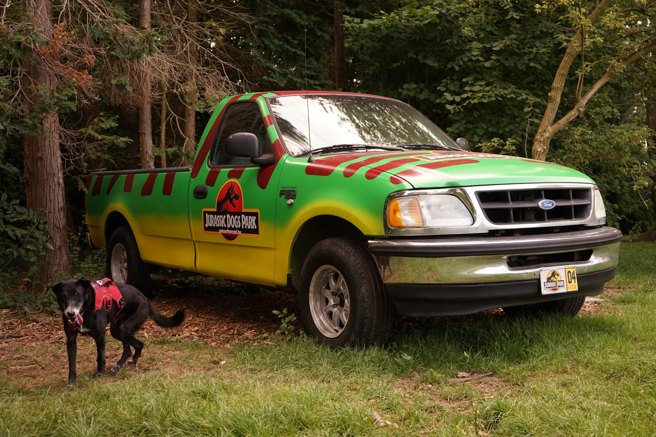 Hond jurassic dogs park