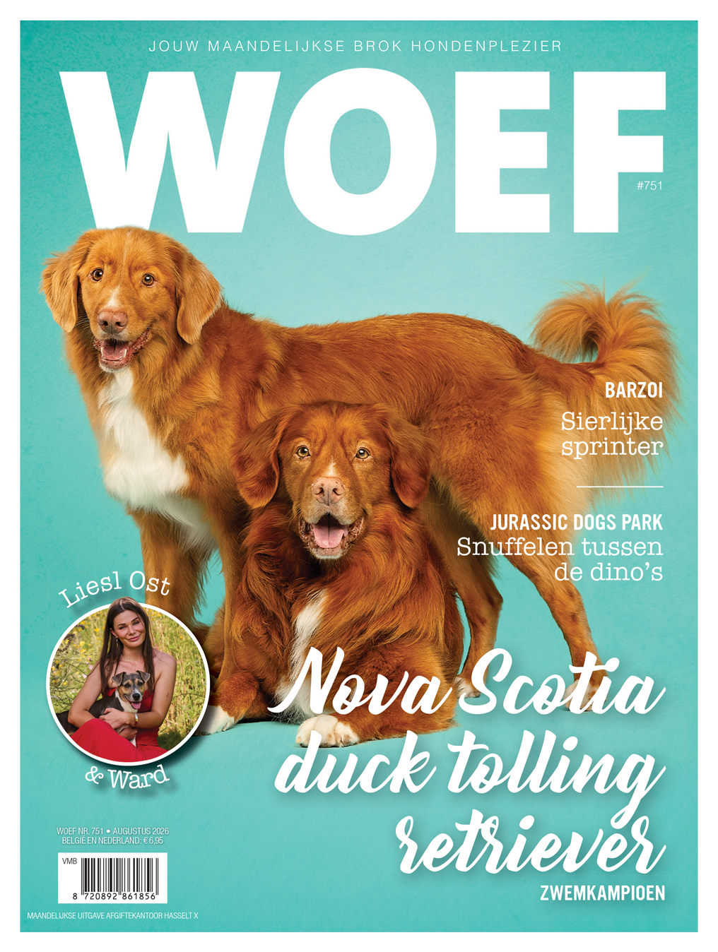 Nova Scotia duck tolling retriever (toller) - Augustus 2026