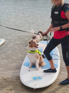WeBarks Dogspot van de maand: Suppen met je hond in Zutendaal